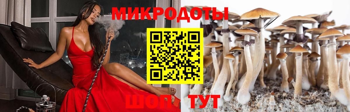 Псилоцибиновые грибы MAGIC MUSHROOMS  Псилоцибиновые грибы мухоморы  Балаково  Вход с VPN 